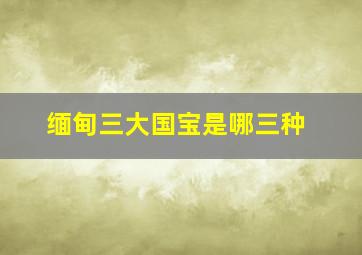 缅甸三大国宝是哪三种