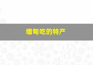 缅甸吃的特产