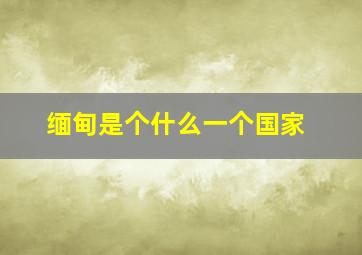 缅甸是个什么一个国家