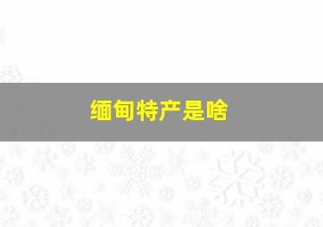 缅甸特产是啥