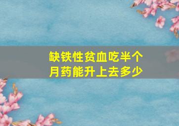 缺铁性贫血吃半个月药能升上去多少