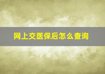 网上交医保后怎么查询