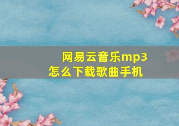 网易云音乐mp3怎么下载歌曲手机