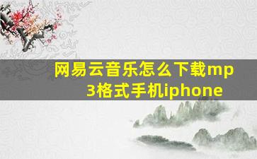 网易云音乐怎么下载mp3格式手机iphone