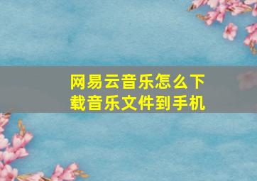 网易云音乐怎么下载音乐文件到手机