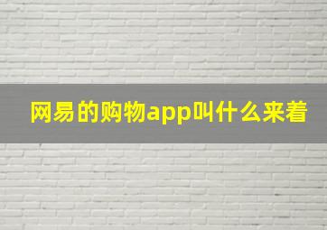 网易的购物app叫什么来着