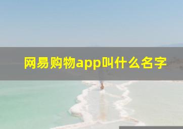 网易购物app叫什么名字