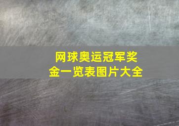 网球奥运冠军奖金一览表图片大全