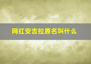 网红安吉拉原名叫什么