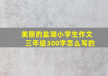 美丽的盐湖小学生作文三年级300字怎么写的