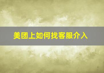 美团上如何找客服介入