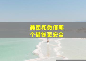 美团和微信哪个借钱更安全