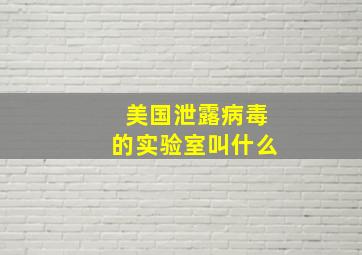 美国泄露病毒的实验室叫什么