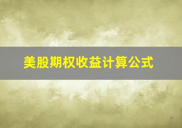 美股期权收益计算公式