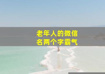 老年人的微信名两个字霸气