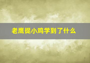 老鹰捉小鸡学到了什么