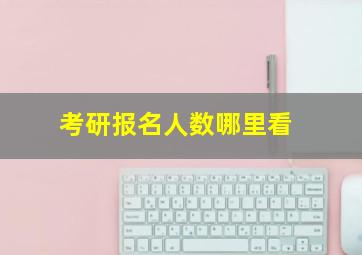 考研报名人数哪里看