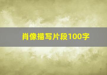 肖像描写片段100字