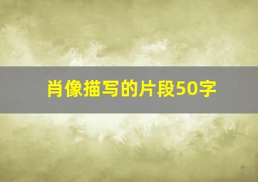 肖像描写的片段50字