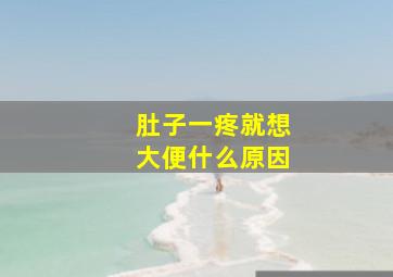 肚子一疼就想大便什么原因