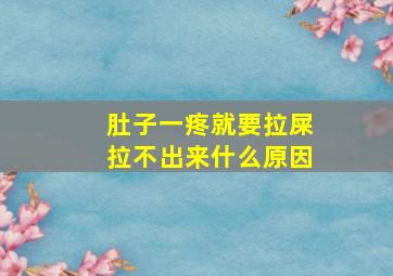 肚子一疼就要拉屎拉不出来什么原因