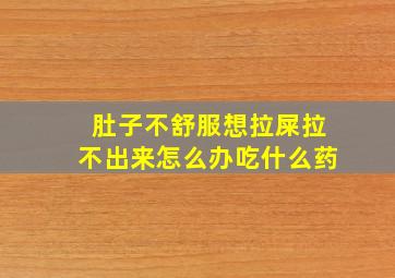 肚子不舒服想拉屎拉不出来怎么办吃什么药