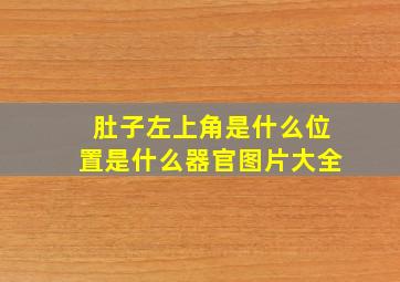 肚子左上角是什么位置是什么器官图片大全