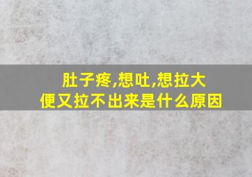 肚子疼,想吐,想拉大便又拉不出来是什么原因