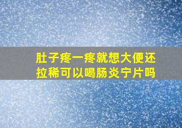 肚子疼一疼就想大便还拉稀可以喝肠炎宁片吗