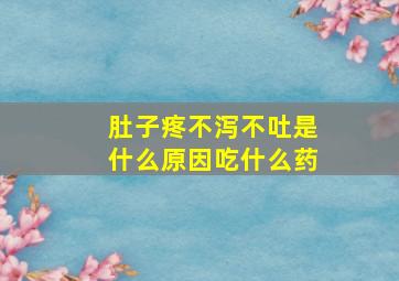 肚子疼不泻不吐是什么原因吃什么药