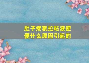 肚子疼就拉粘液便便什么原因引起的