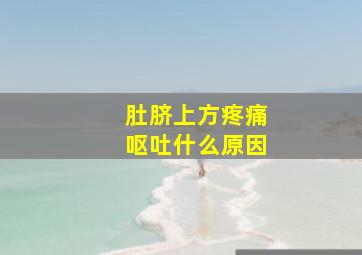 肚脐上方疼痛呕吐什么原因