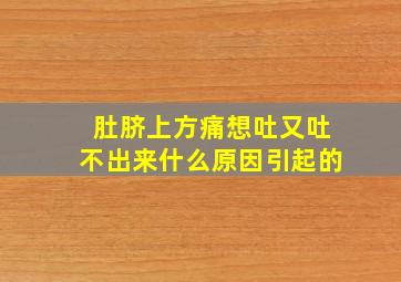 肚脐上方痛想吐又吐不出来什么原因引起的