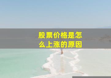 股票价格是怎么上涨的原因