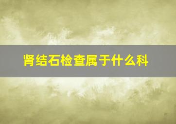 肾结石检查属于什么科