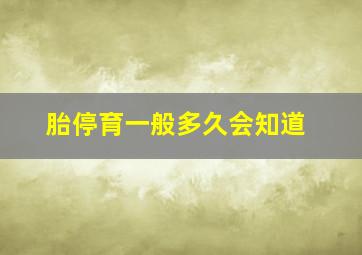 胎停育一般多久会知道