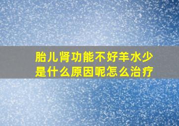 胎儿肾功能不好羊水少是什么原因呢怎么治疗