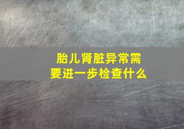 胎儿肾脏异常需要进一步检查什么