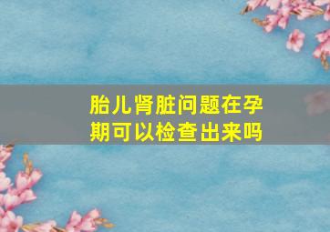 胎儿肾脏问题在孕期可以检查出来吗