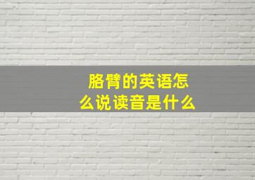 胳臂的英语怎么说读音是什么