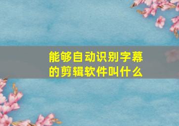 能够自动识别字幕的剪辑软件叫什么