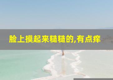 脸上摸起来糙糙的,有点痒