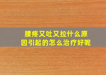 腰疼又吐又拉什么原因引起的怎么治疗好呢