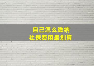 自己怎么缴纳社保费用最划算