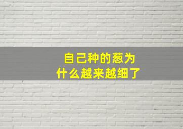 自己种的葱为什么越来越细了