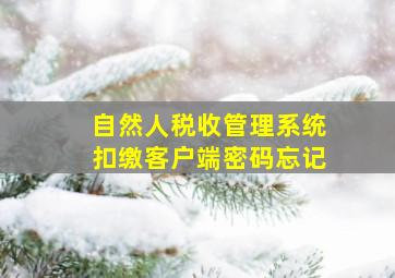 自然人税收管理系统扣缴客户端密码忘记