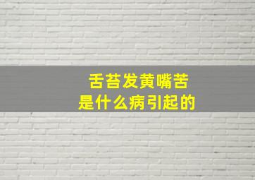 舌苔发黄嘴苦是什么病引起的