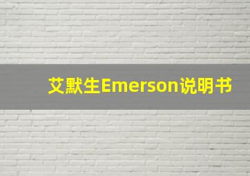 艾默生Emerson说明书