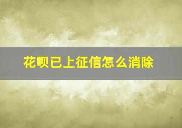 花呗已上征信怎么消除