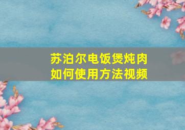 苏泊尔电饭煲炖肉如何使用方法视频